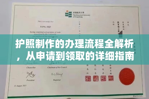 沣东护照制作的办理流程全解析，从申请到领取的详细指南